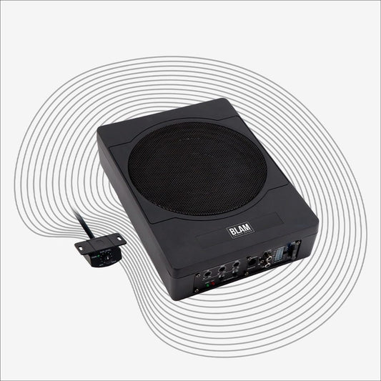 BLAM MSA 20 POWERED CABINET Active Subwoofer